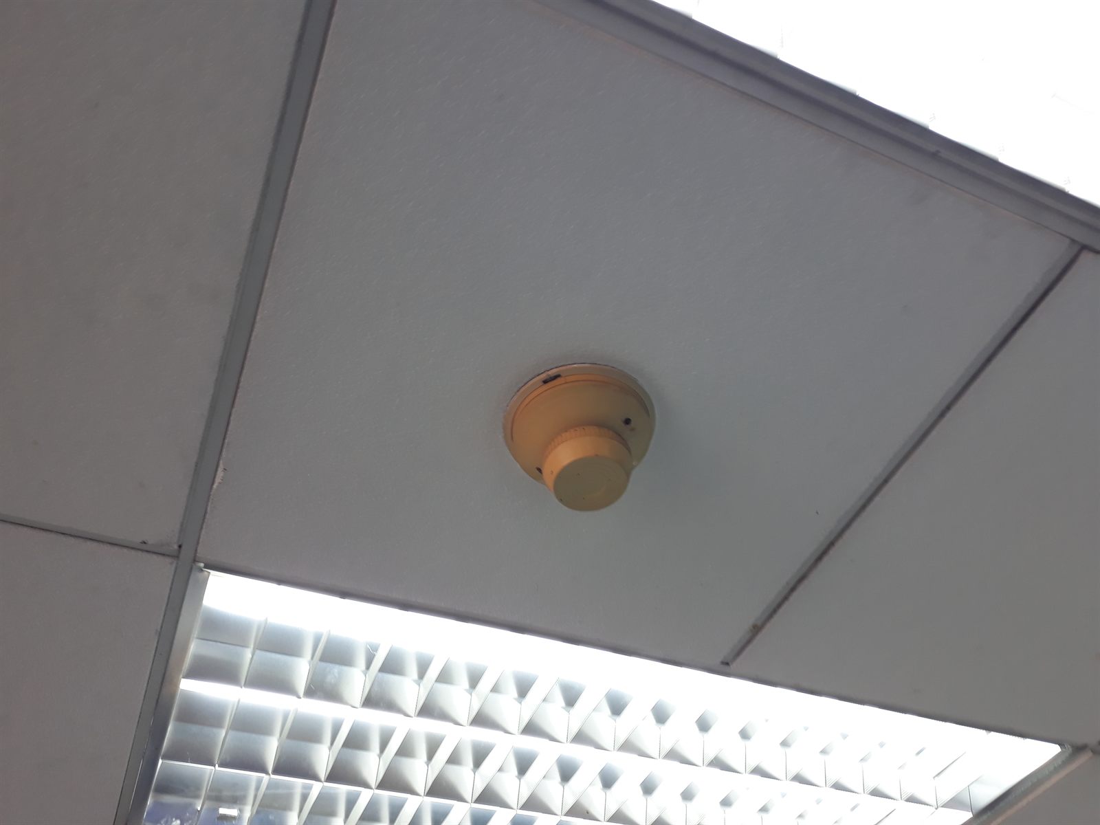 Detector de humo instalado en cielo modular de oficinas, integrado al lazo de detección de incendios.